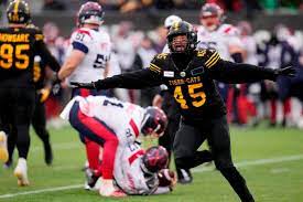 Dissecting the Tiger-Cats: Part 4 Assessing the Defensive Position Groups