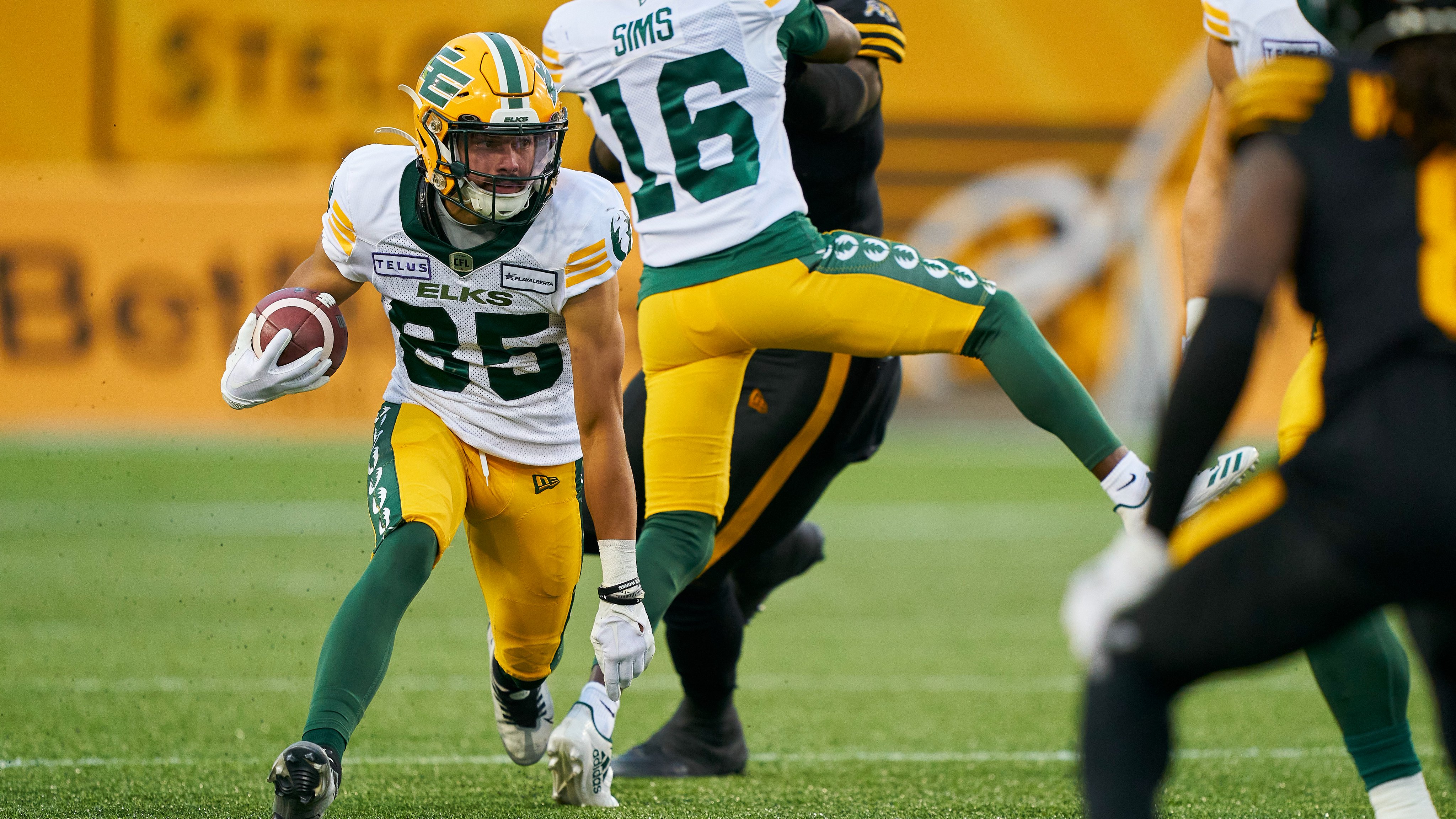 CFL Result: Edmonton Elks Triumph Over Hamilton Tiger-Cats 24-10