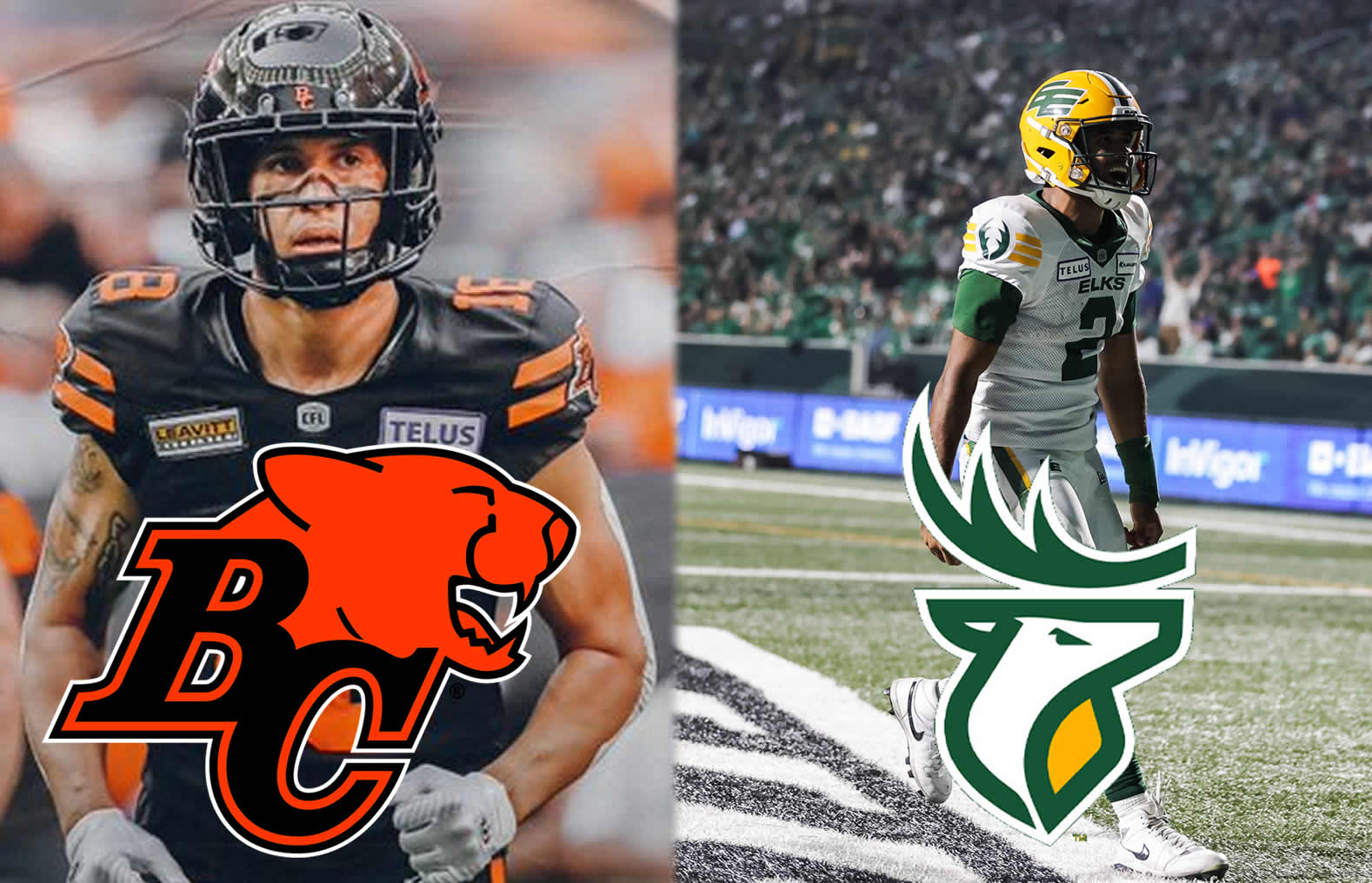 BC Lions (9-4) Week 16 Preview: Prediction, Depth Chart, Injuries, Odds