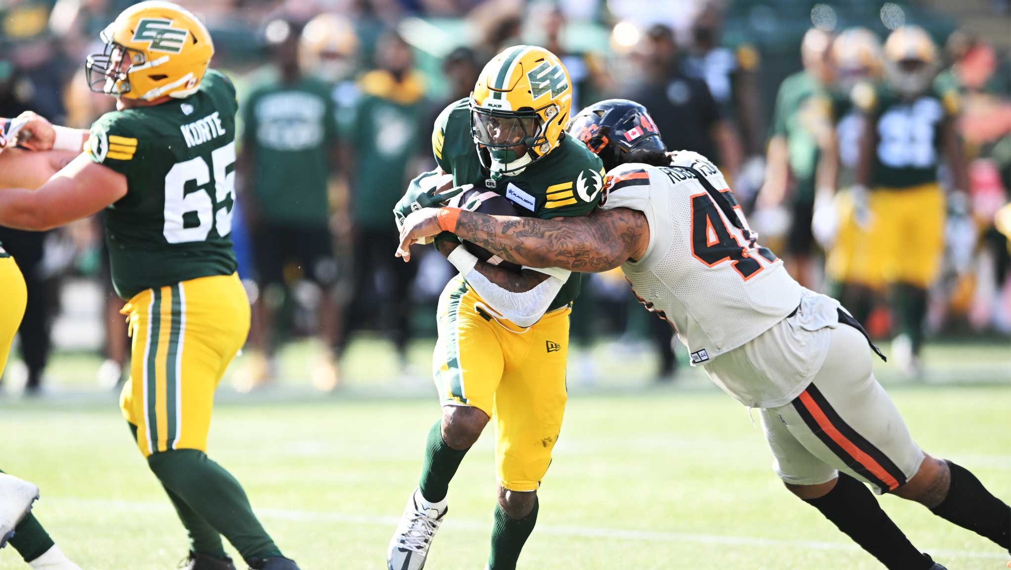 CFL Scores Today: Edmonton Elks 33, BC Lions 16 - Elks Dominate at Home
