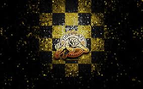 Dissecting the Tiger-Cats: Part 1 Team Assessment of the 2022 Hamilton Tiger-Cats