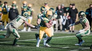 Tiger-Cats Add RB Matthew Peterson to their Roster