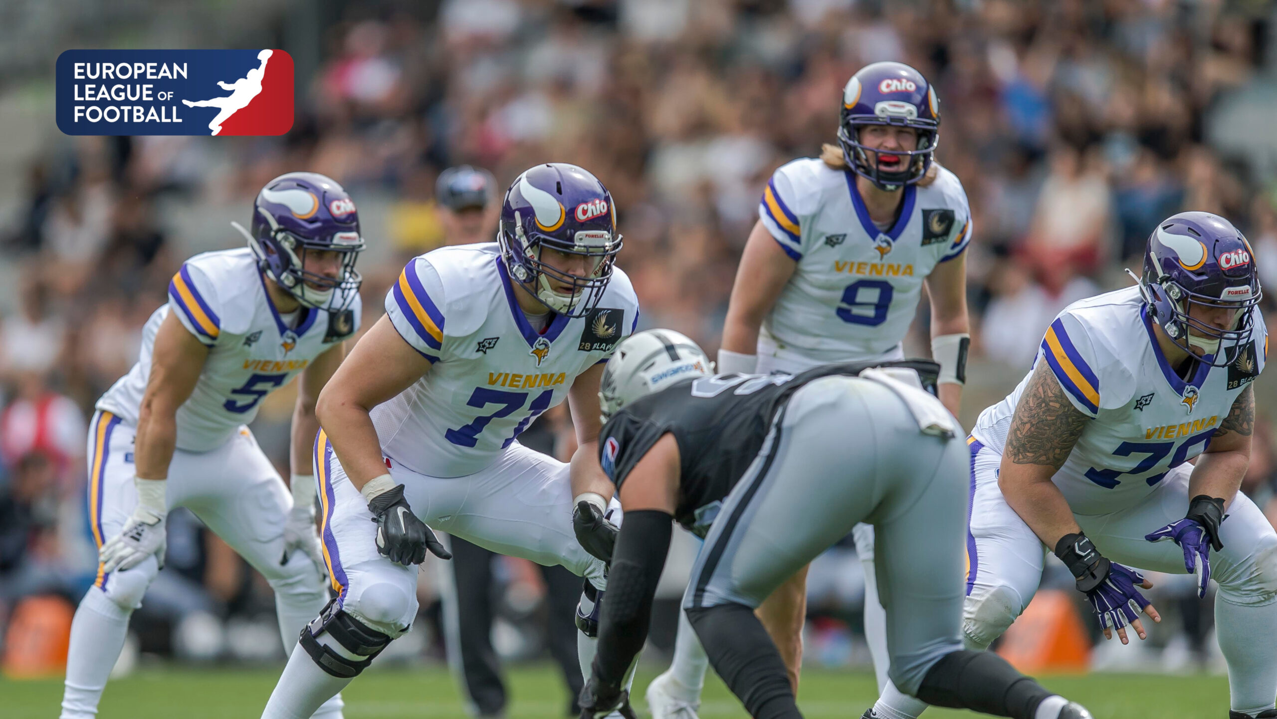 European League of Football (ELF) Week 8 Recap, Top Performers, & Standings