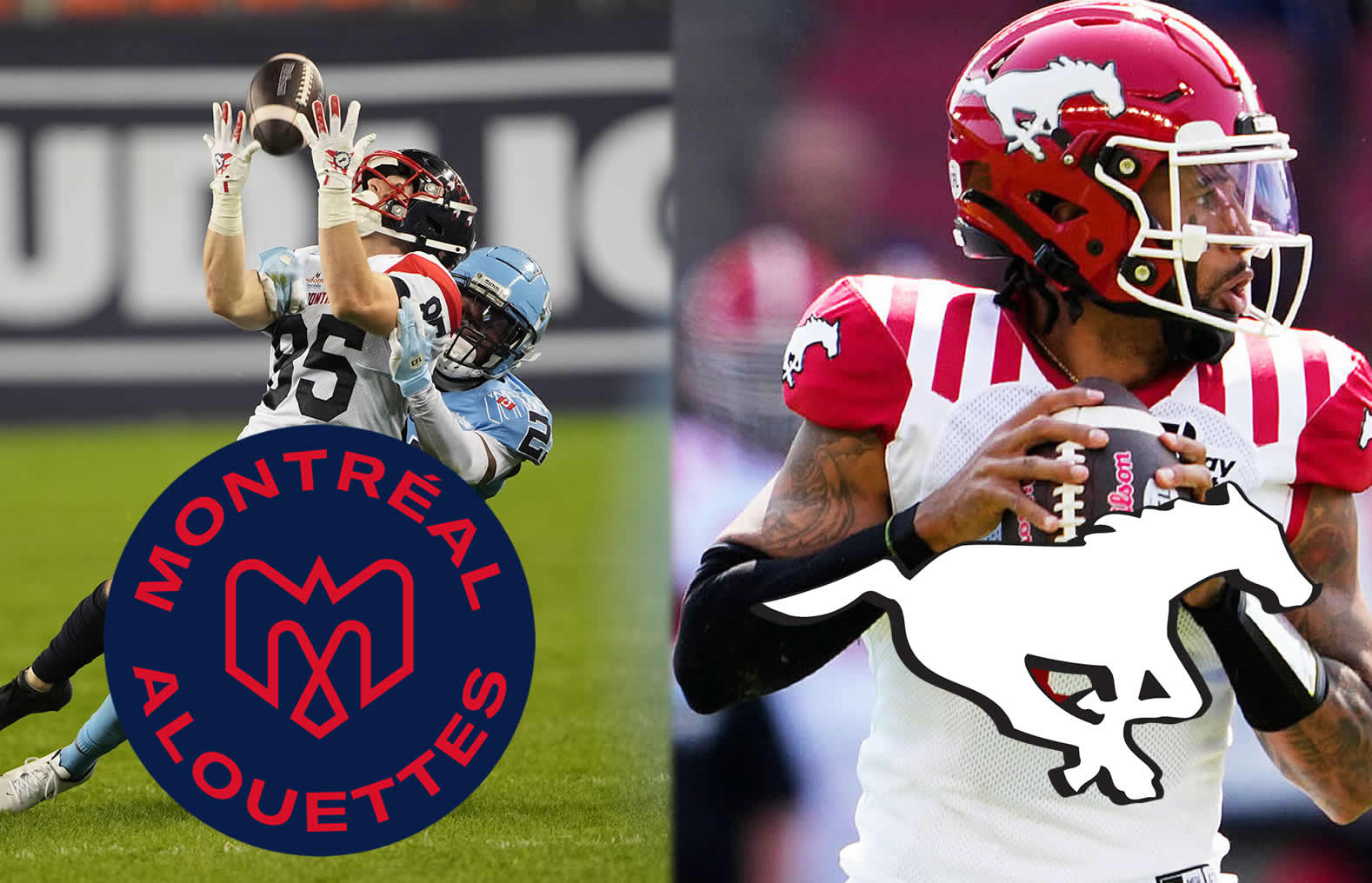 Montreal Alouettes (7-7) Week 17 Preview vs Calgary Stampeders (8-5): Keys to the Game, Prediction, Depth Chart, Injuries, Odds